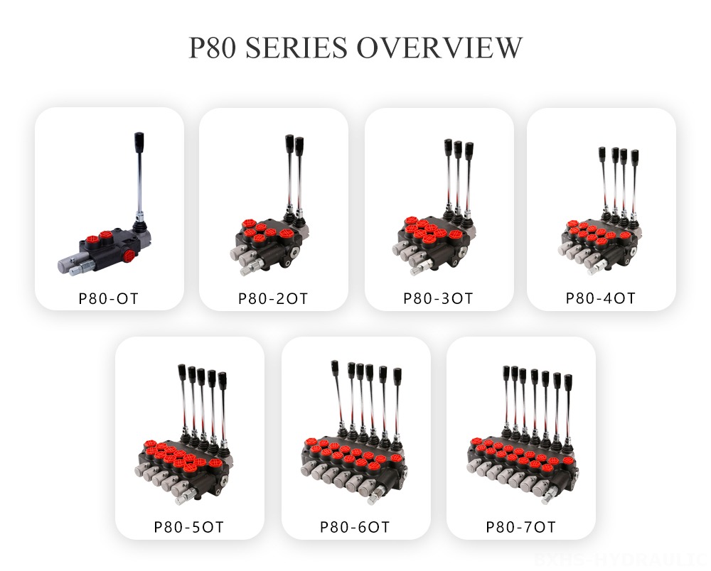 Descripción general de la serie P80