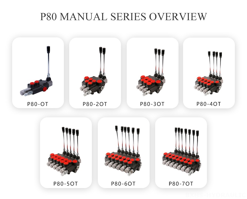 P80 手册系列-概览