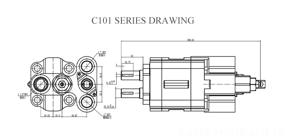 Bomba de engranajes serie C101 Dibujo-1