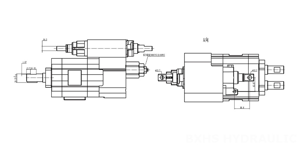 C101 Series Gear Pump Drawing-2