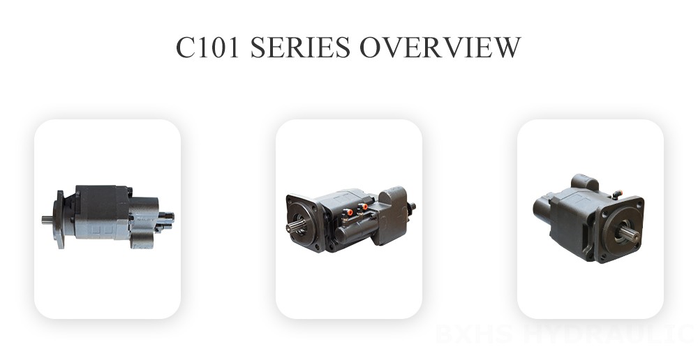 C101 Series Gear Pump Overview