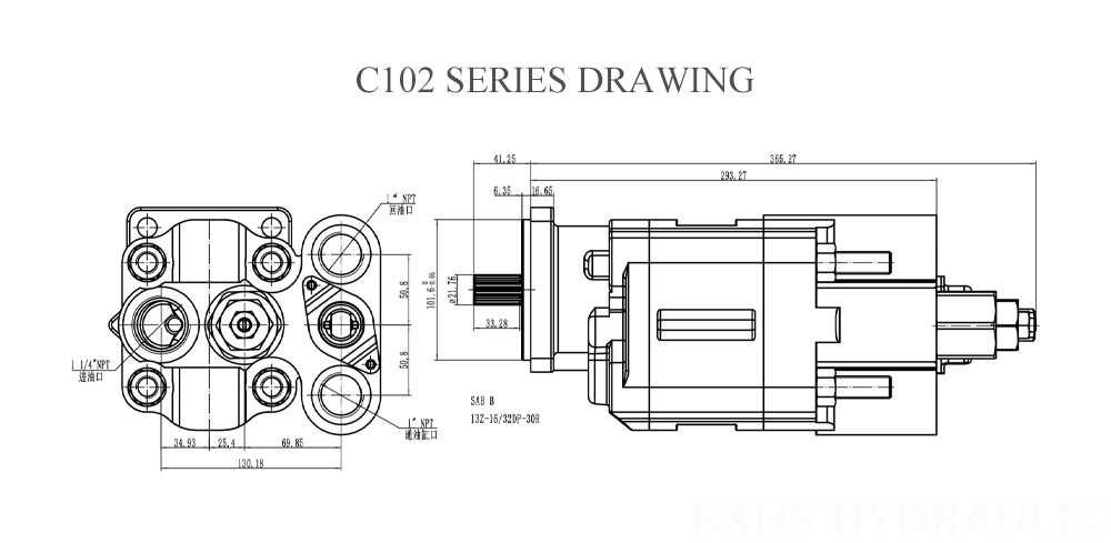 Bomba de engranajes serie C102 Dibujo-1