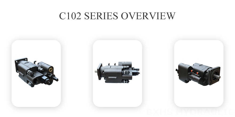 C102 Series Gear Pump Overview