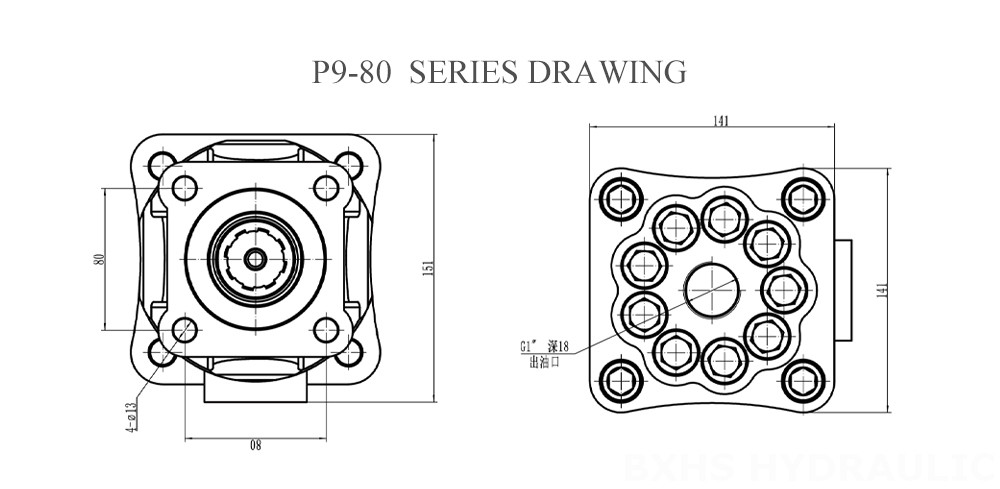 P9-80-Series-Piston-Pump-Drawing