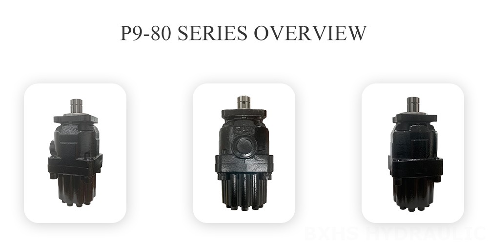 P9-80-Series-Piston-Pump-Overview