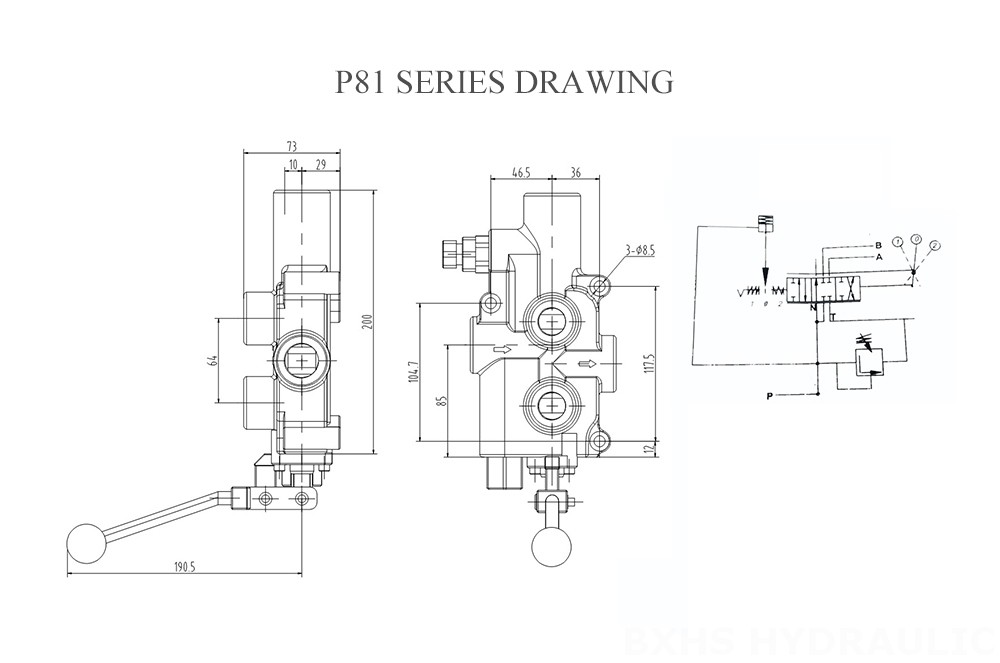 P81 Manual-Log-Splitter-Valve Series Drawing