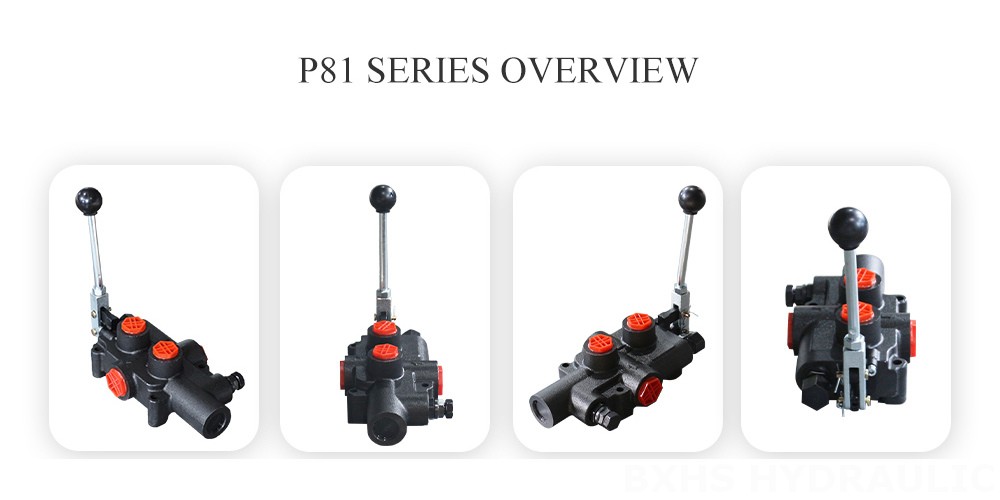 P81-Manual-Log-Splitter-Valve-Series-Overview