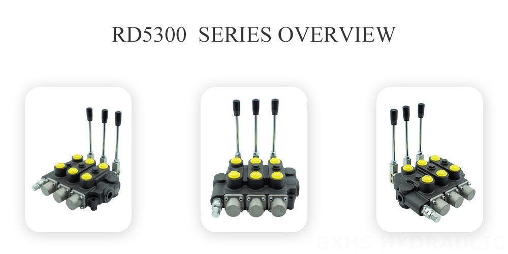 RD5300-Series Overview