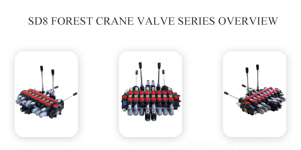 SD8-Forest-Crane-Valve Series Overview