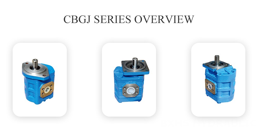 CBGJ Series Overview