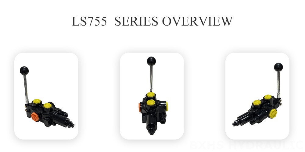 LS755-Log-Splitter-Valve Overview