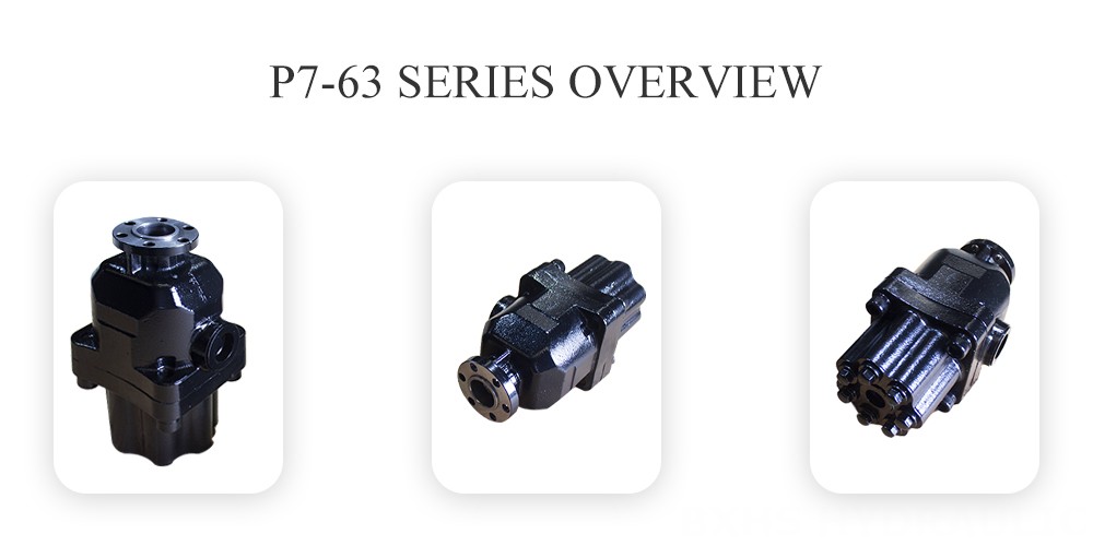 P7-63 Series Overview