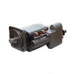 C101 Gear Pump 2