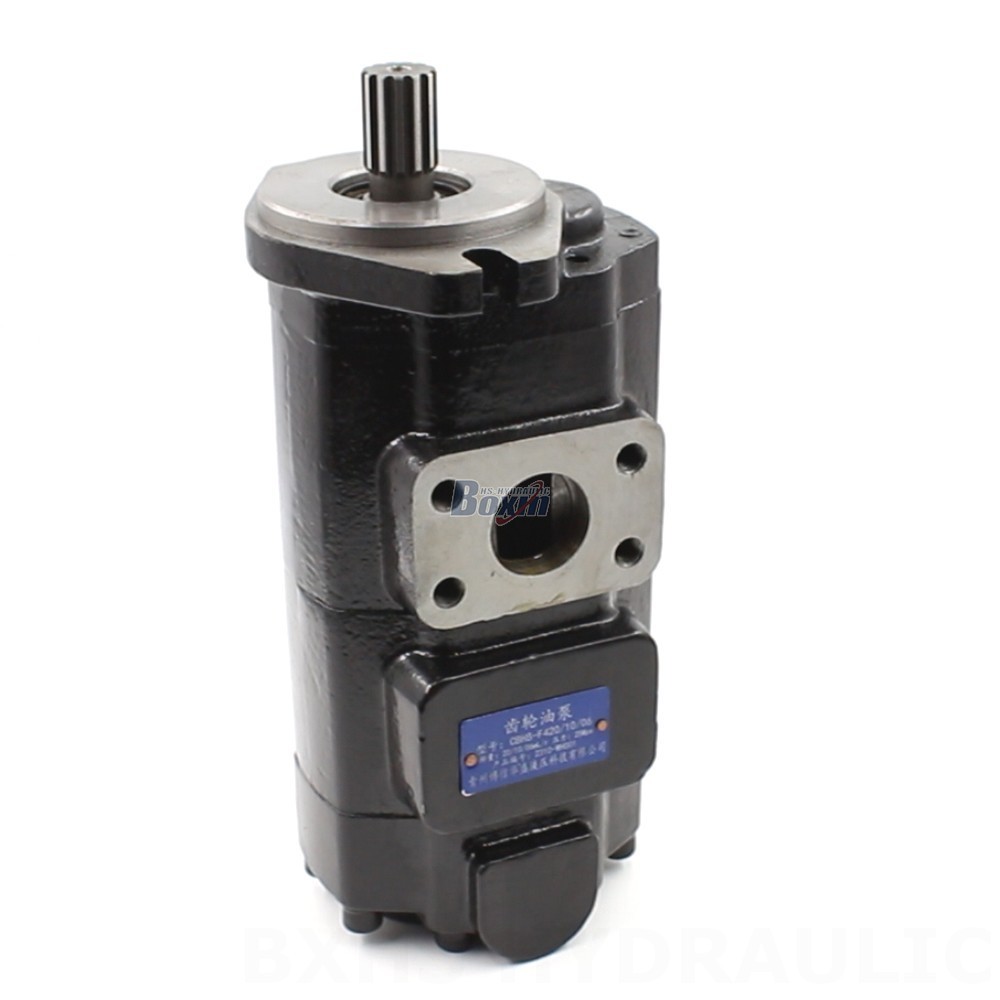 Bomba hidráulica de engranajes 20 cc/rev CBHS-F420 - Fabricante, OEM, ODM, Mayorista y distribuidor
