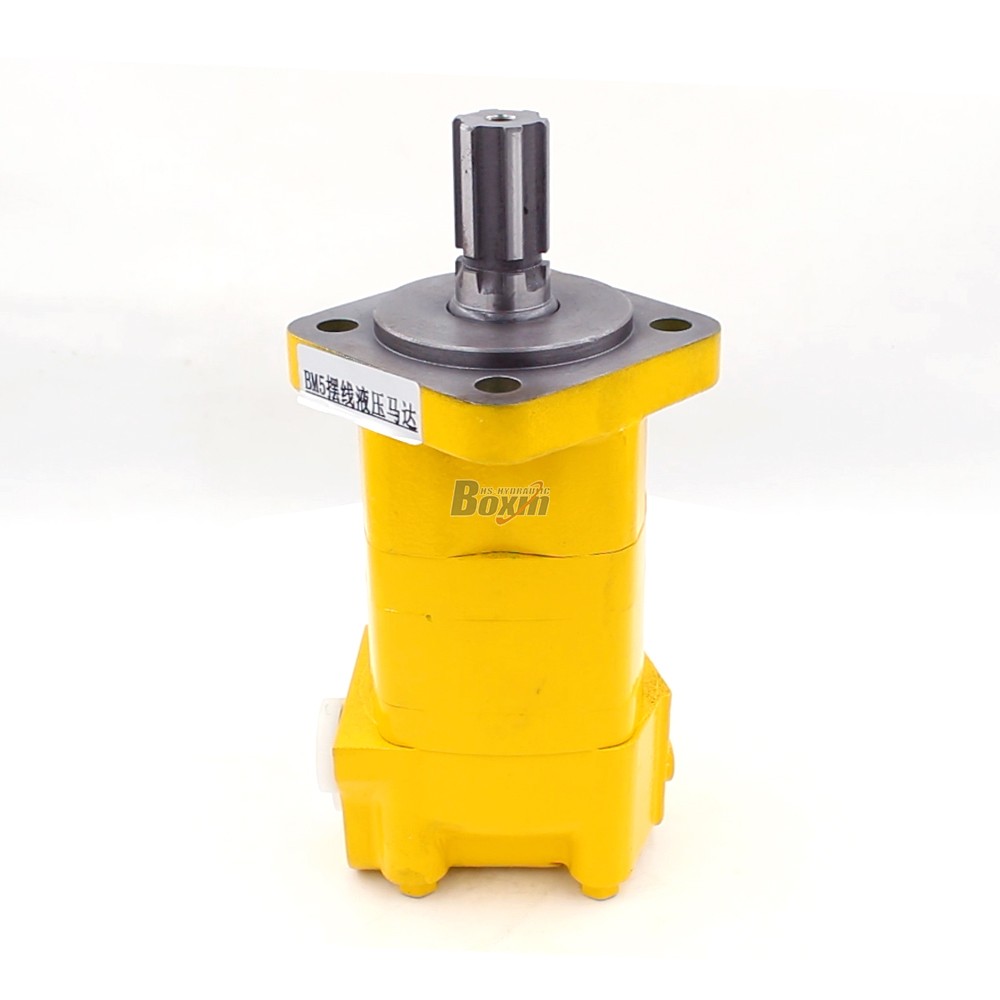BM5 Cycloid Hydraulic Motor 100cc/r, 75Lpm – Manufacturer & OEM Services